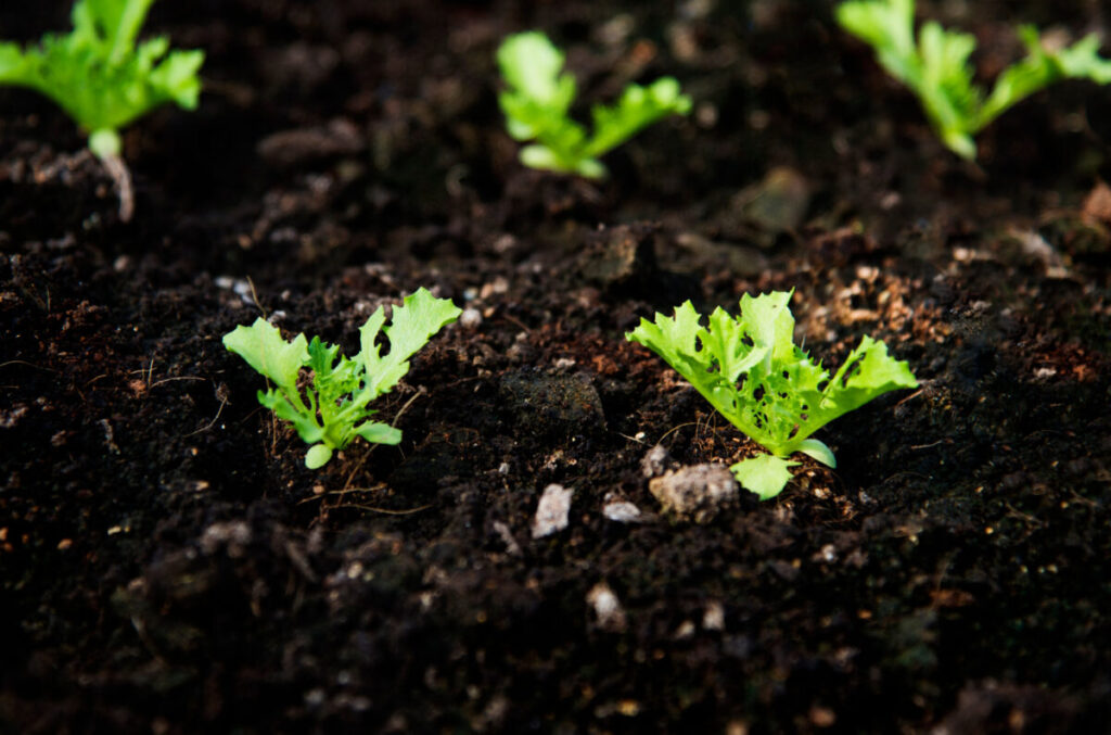 Course to educate Michigan food entrepreneurs about grant writing