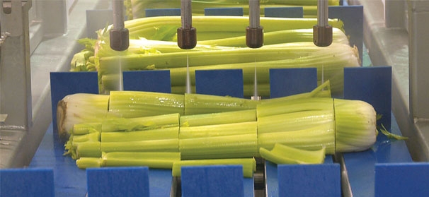 Liquid Blades: Waterjet cutting shows promise with some produce items