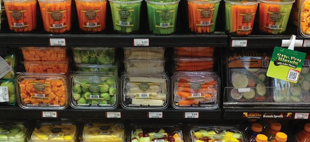 Partnering for Success