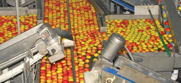 Defying the Elements