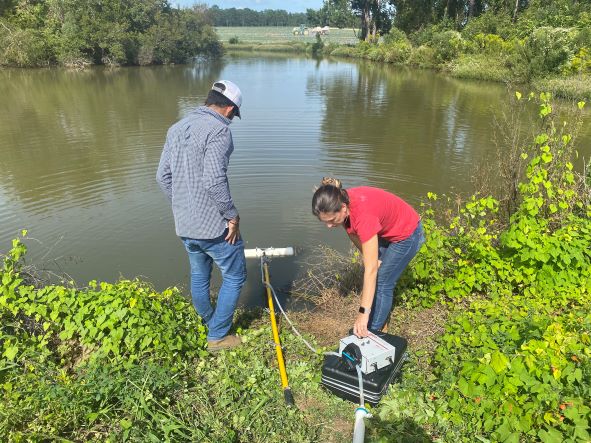 Getting at root cause