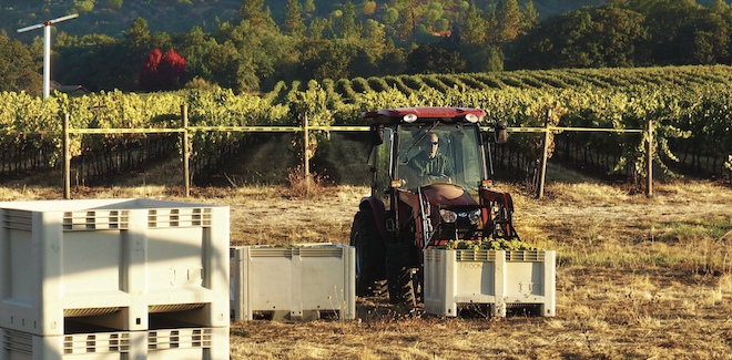 Troon Vineyard takes forward-thinking approach to create distinctive tastes