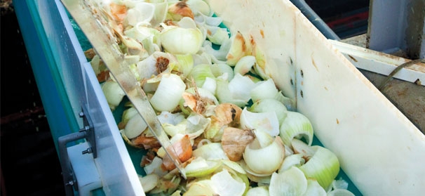 War on Food Waste: Processors, retailers and consumers can reduce fresh-cut loss