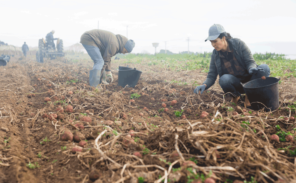 Revisions introduced for some H-2A filings, AEWR calculations