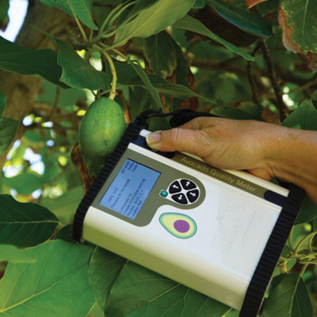 New Avocado ripeness meter set for December release