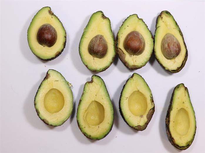 Companies team up to extend shelf life of avocados