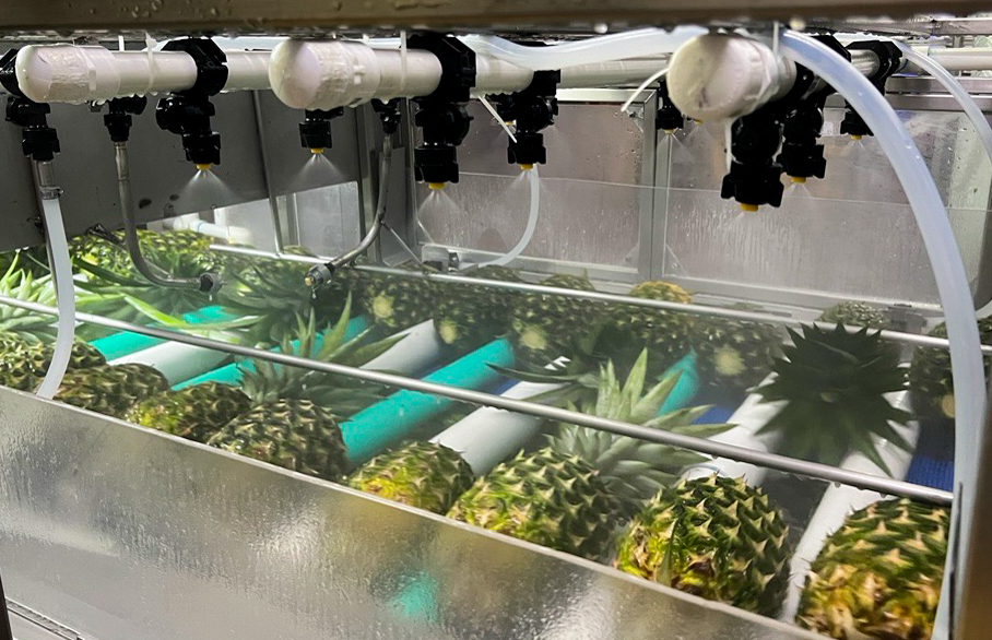Automated pineapple wax dosing machine launches