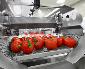 Tomatoes being washed in an industrial facility