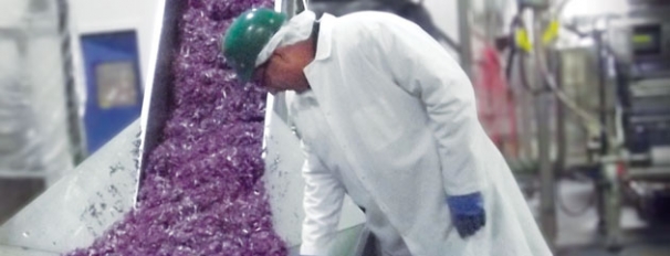 Creating Consistency